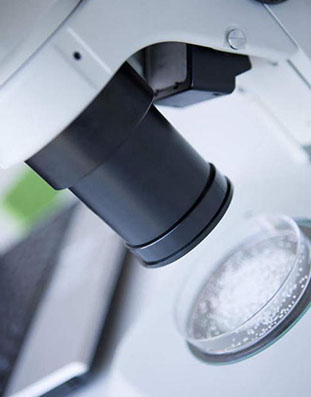 ���ֱ��洦��